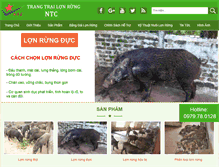 Tablet Screenshot of lonrung.com